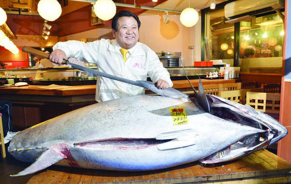 بيع سمكة تونة عملاقة بـ 1.8 مليون دولار في اليابان