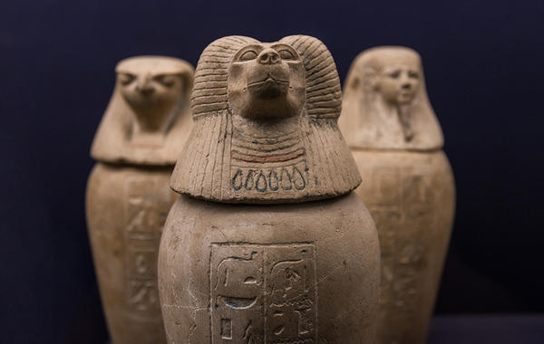 كشف أسرار جديدة عن الحيوانات المحنطة في مصر القديمة