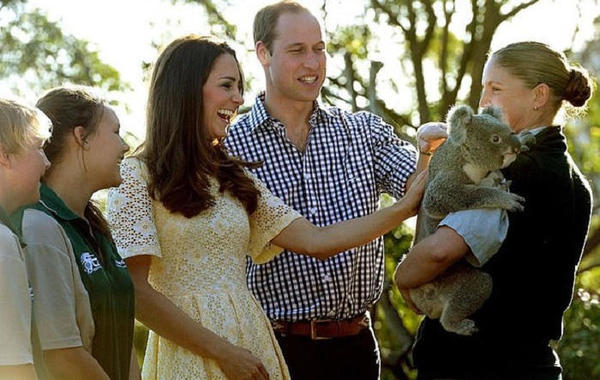 الأمير ويليام وكيت يستعدان لزيارة بلدات دمرتها حرائق الغابات في أستراليا