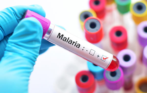 يوم الوعي بمرض الملاريا: الأعراض وعوامل الخطر والعلاجات