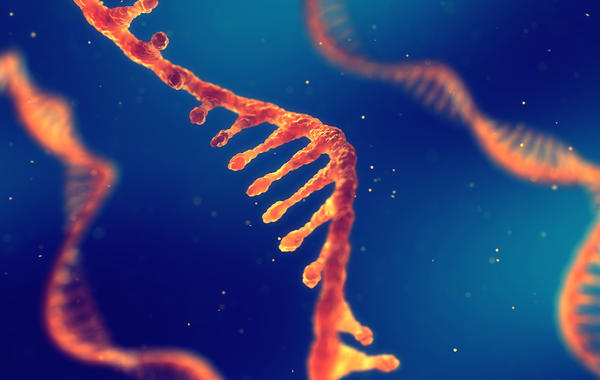 تعرفوا إلى الفرق بين الـ DNA و RNA