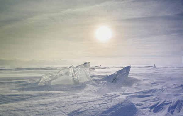 سيبيريا القطب الشمالي درجة حرارتها 38