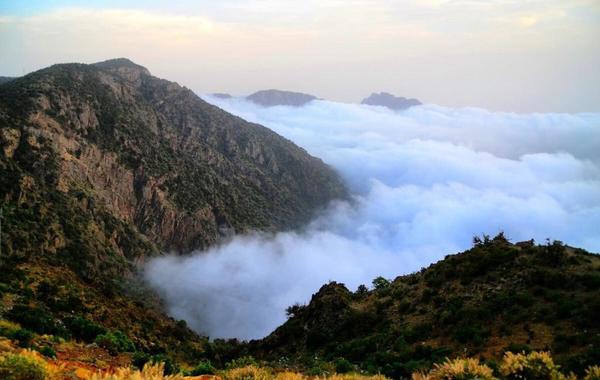 جبال عسير السعودية 10 قمم خضراء سياحية تعانق السحب