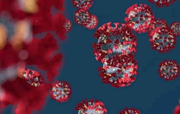دراسة حديثة : فيروس كورونا يتحور بشكل مخيف وسينتشر بسرعة كبيرة