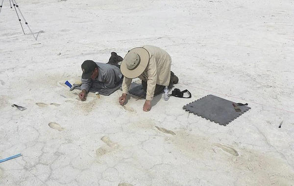 اكتشاف آثار أقدام متحجرة عمرها 13000 عام بنيو مكسيكو