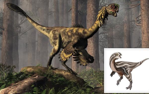 اكتشاف ديناصور بحجم دجاجة عمره 110 ملايين سنة