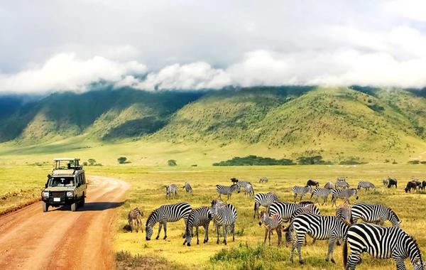 أشهر العناوين السياحية الجديرة بالزيارة في تنزانيا