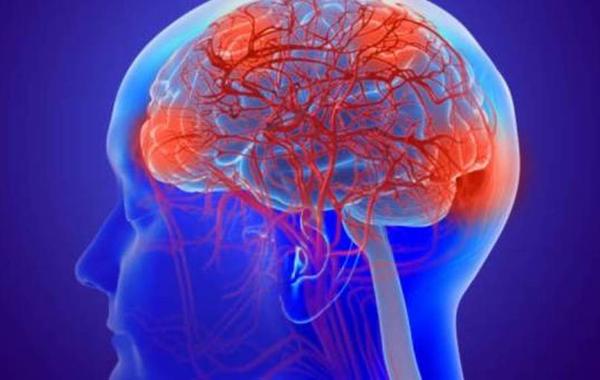 علماء يتوصلون لعلاج مناعي لسرطان الدماغ
