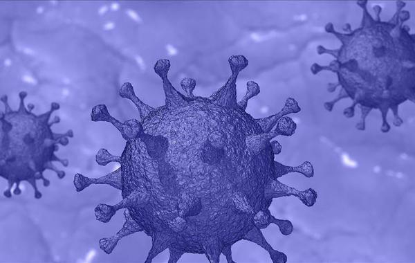 إعادة التحقيق في تسرب فيروس كورونا بمختبرات ووهان الصينية