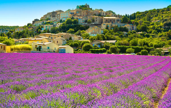 Tourisme en France : merveilles du littoral et animations en Provence