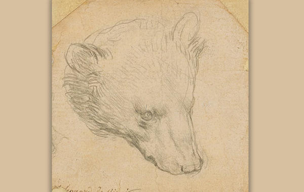 عرض رسمة نادرة "رأس الدب" لدافنشى بالمزاد العلنى