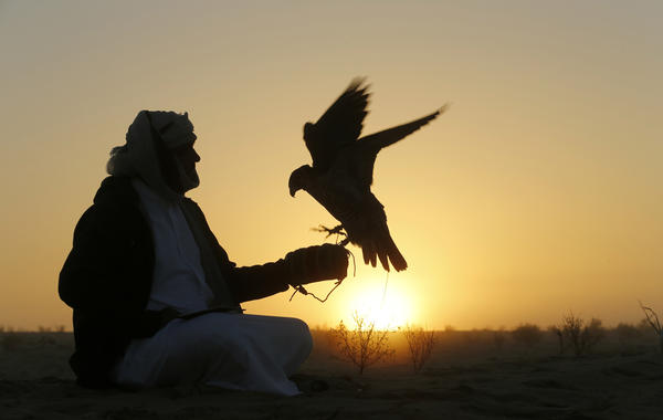 معرض أبوظبي للصيد وأجمل القصائد في وصف الطير والمقناص