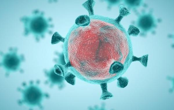علماء يتوصلون إلى طريقة لعلاج ومنع عدوى فيروس كورونا