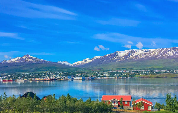 أيسلندا وجهة شهيرة لمشاهدة الحيتان في الصيف