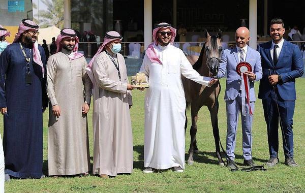 انطلاق مهرجان الأمير سلطان بن عبدالعزيز العالمي للجواد العربي - الصورة من "واس"