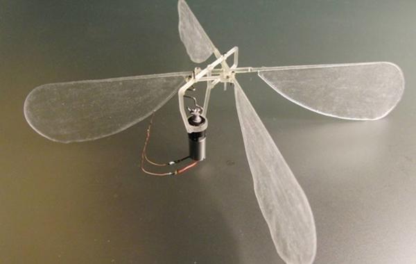 باحثون في بريطانيا يطورون روبوتاً على شكل حشرة يخفق بجناحيه