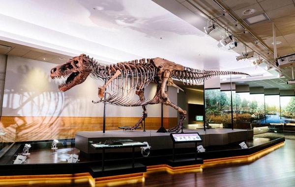 بشكل غريب.. اكتشاف بقايا ديناصور عاش قبل 192 مليون سنة