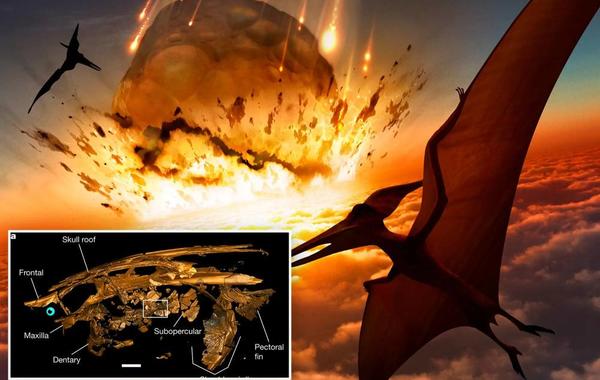  علماء يكشفون سبب انقراض الديناصورات