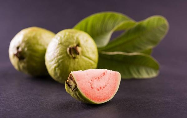 صورة لثمرة وأوراق الجوافة