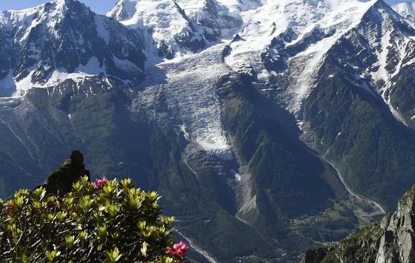 صورة المساحات الخضراء في جبال الألب