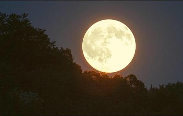 القمر البدر يزين سماء الوطن العربي - الصورة من حساب الجمعية الفلكية بجدة