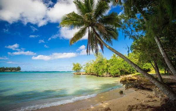 جزر «هاواي» الأبرز، هي: «ذا بيغ آيلاند» و«ماوي» و«أواهو» و«كاواي»