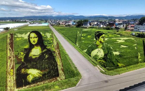 فن حقول الأرز  في اليابان