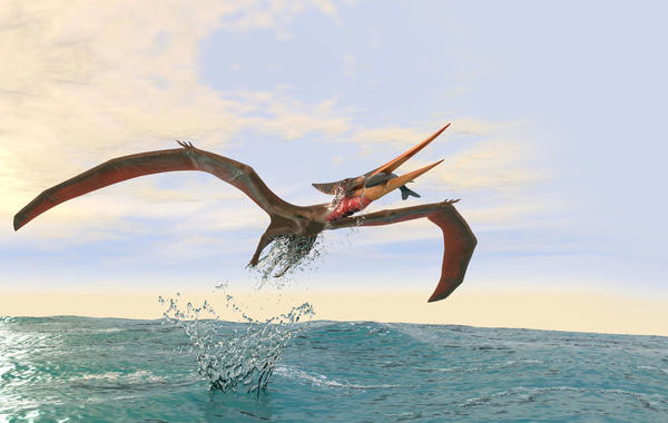 اكتشاف أقدم طائر في العالم