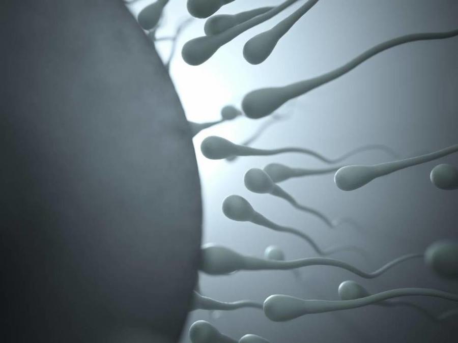 دور اختبارات الجلوكوز في الكشف عن أجنة الذكور